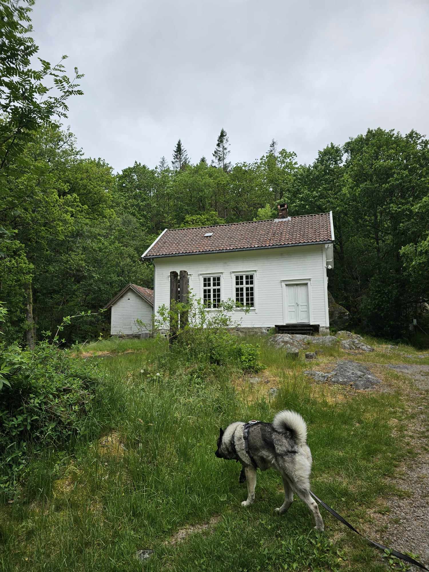 messenger_creation_6001d122-dd97-4799-9aa1-e2ffaff26c1c