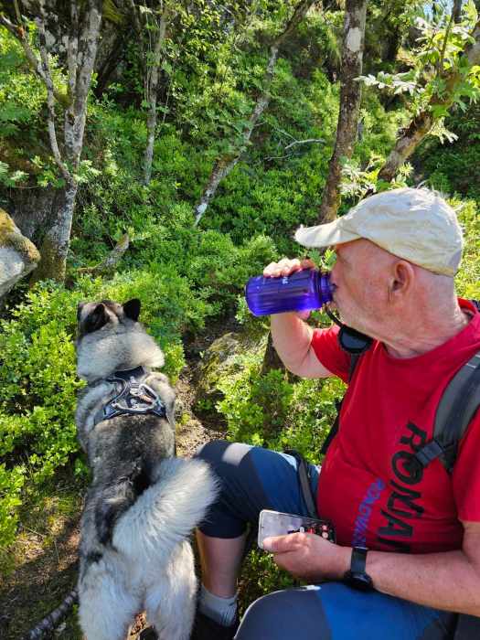 messenger_creation_65465f4b-d043-40fc-a79e-7f857aec1054