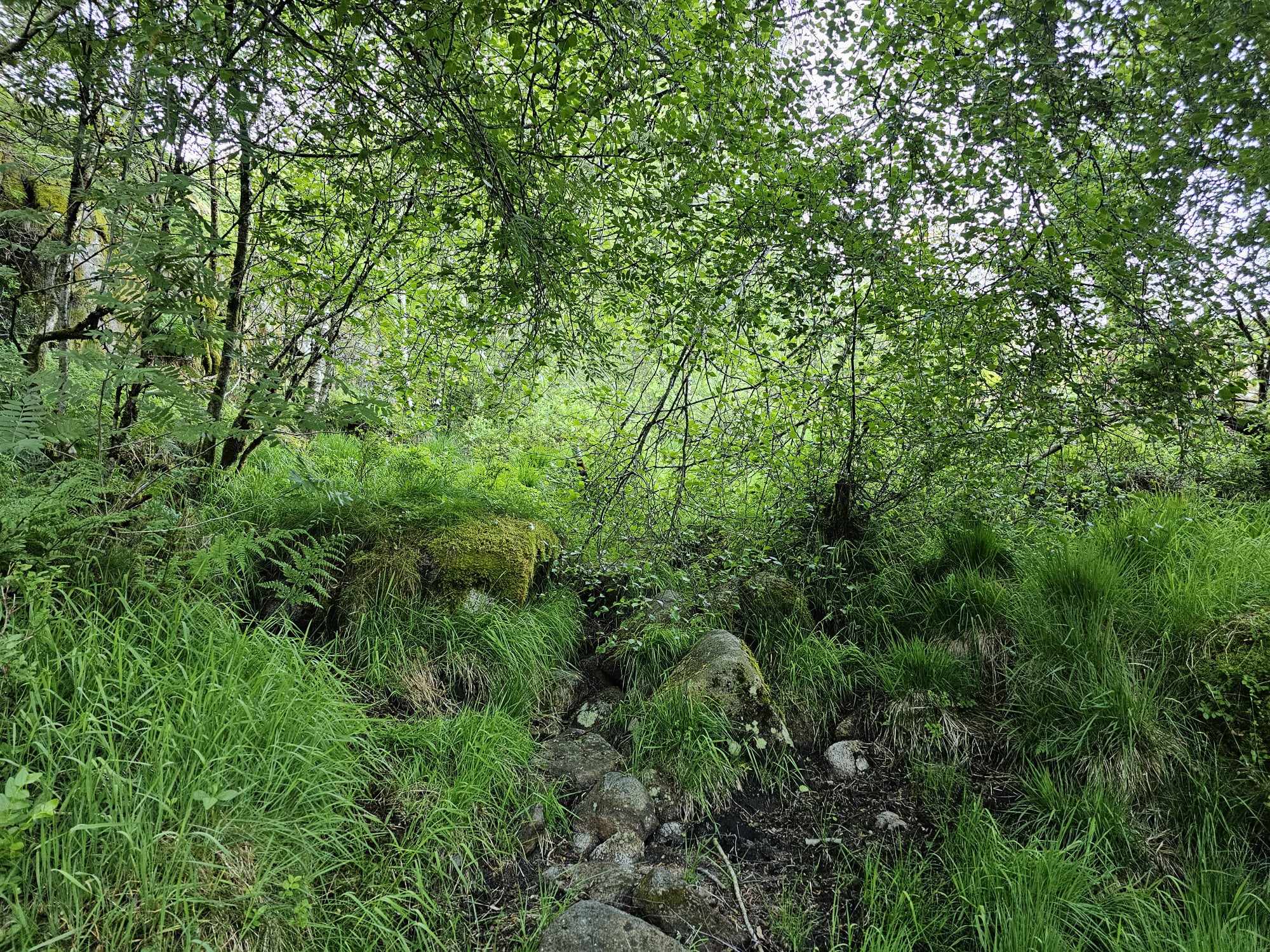 messenger_creation_68a97416-4dc8-4ac5-ba56-a26efa8cccc2