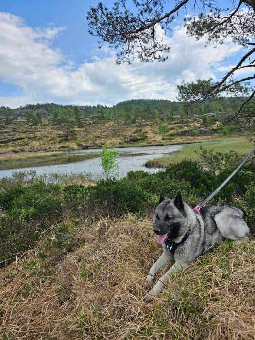 messenger_creation_6e4de277-c9b7-46c3-93c2-2ff2cb5a4583