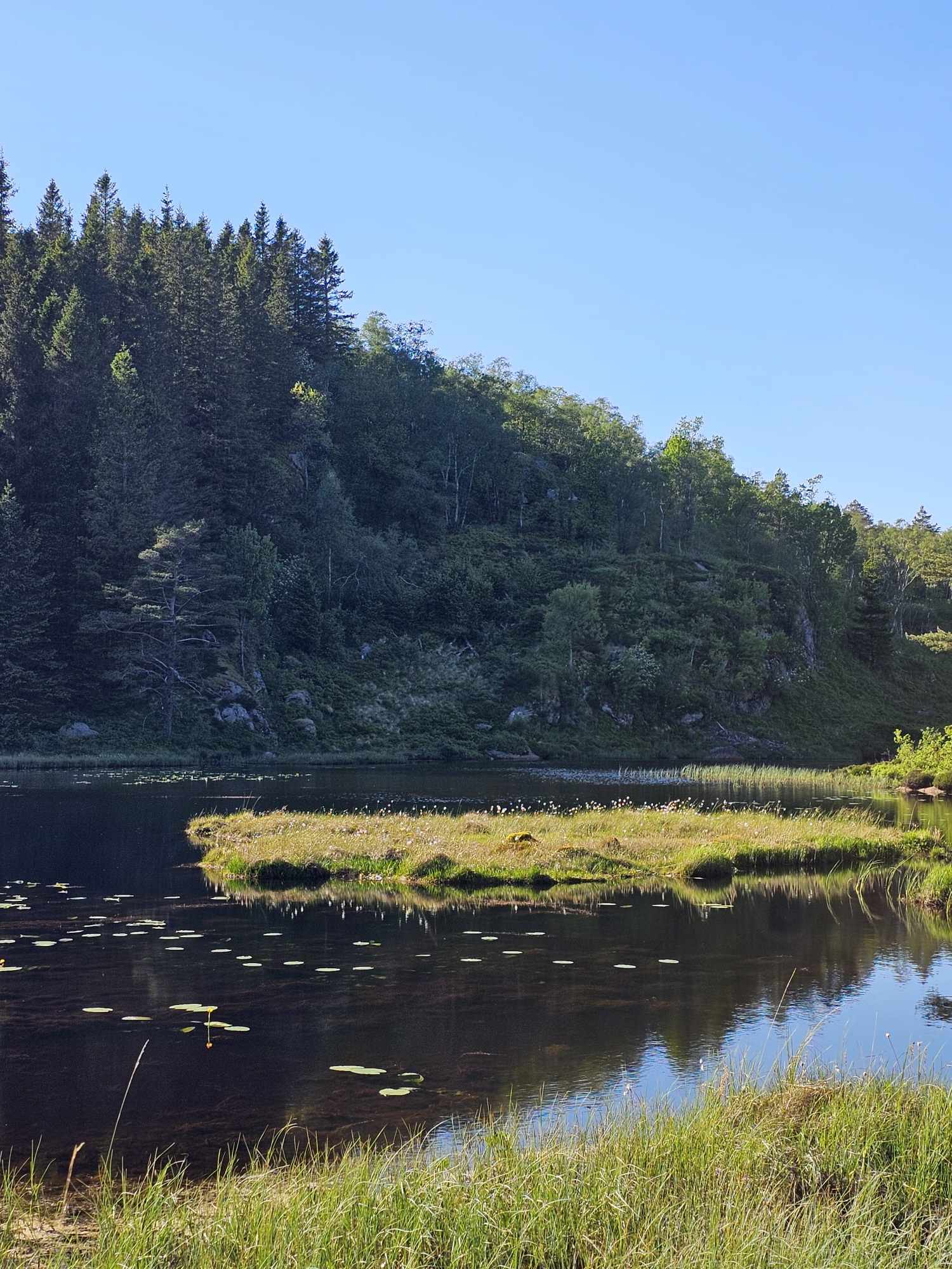 messenger_creation_731888e2-fe86-4cf4-9a92-e0f1a3d12e5b