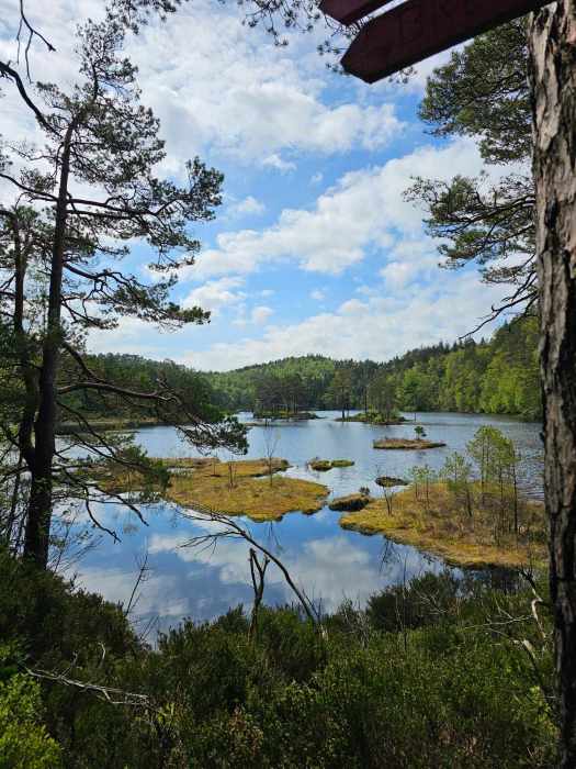 messenger_creation_8f8ca02f-34ca-452d-98fc-28c4beb1e959