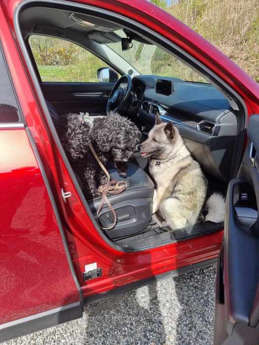 messenger_creation_9387d49e-b90a-4f84-9ede-b8f77ae7f5c7