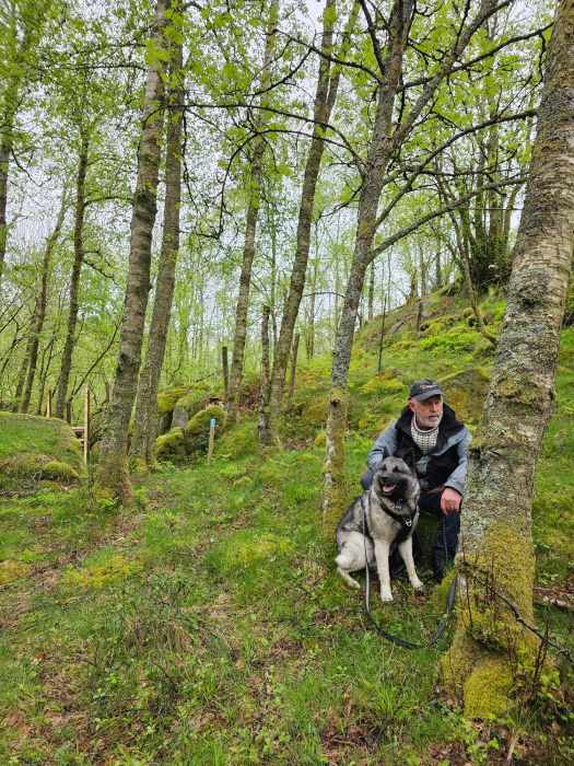 messenger_creation_981d69f1-cdab-40b8-a91d-ca63898e3a07