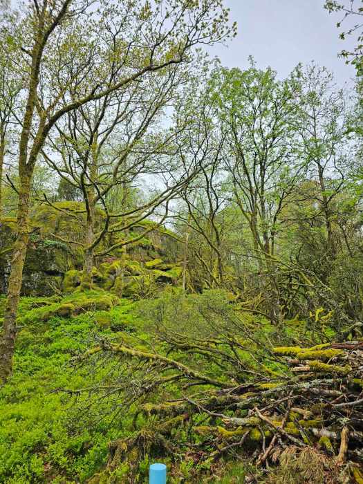 messenger_creation_b0e71e83-0980-4c71-acb6-3822e4da322d