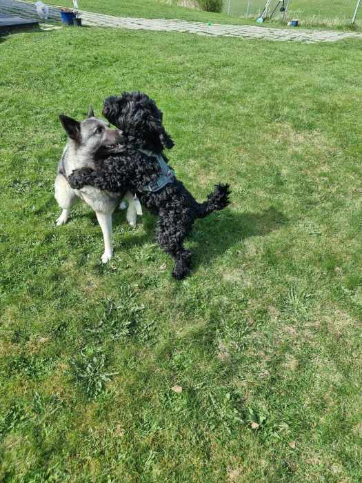 messenger_creation_b848448d-4cc0-432e-a763-3cb3440121ad