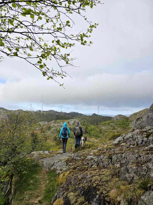 messenger_creation_dcbb45bd-5531-44bd-adc1-67e0d609e493