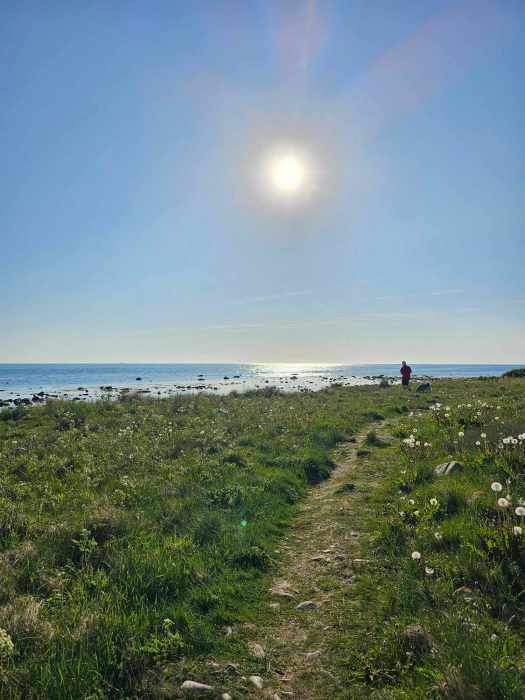 messenger_creation_e83bd108-a519-4e46-8a93-7d08e0763454