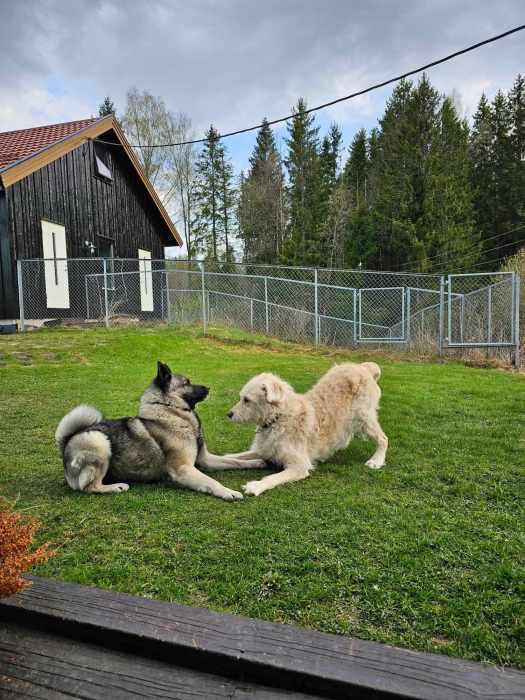 messenger_creation_fca3c7bd-7b52-4acf-89c7-0d1f1e599bb2