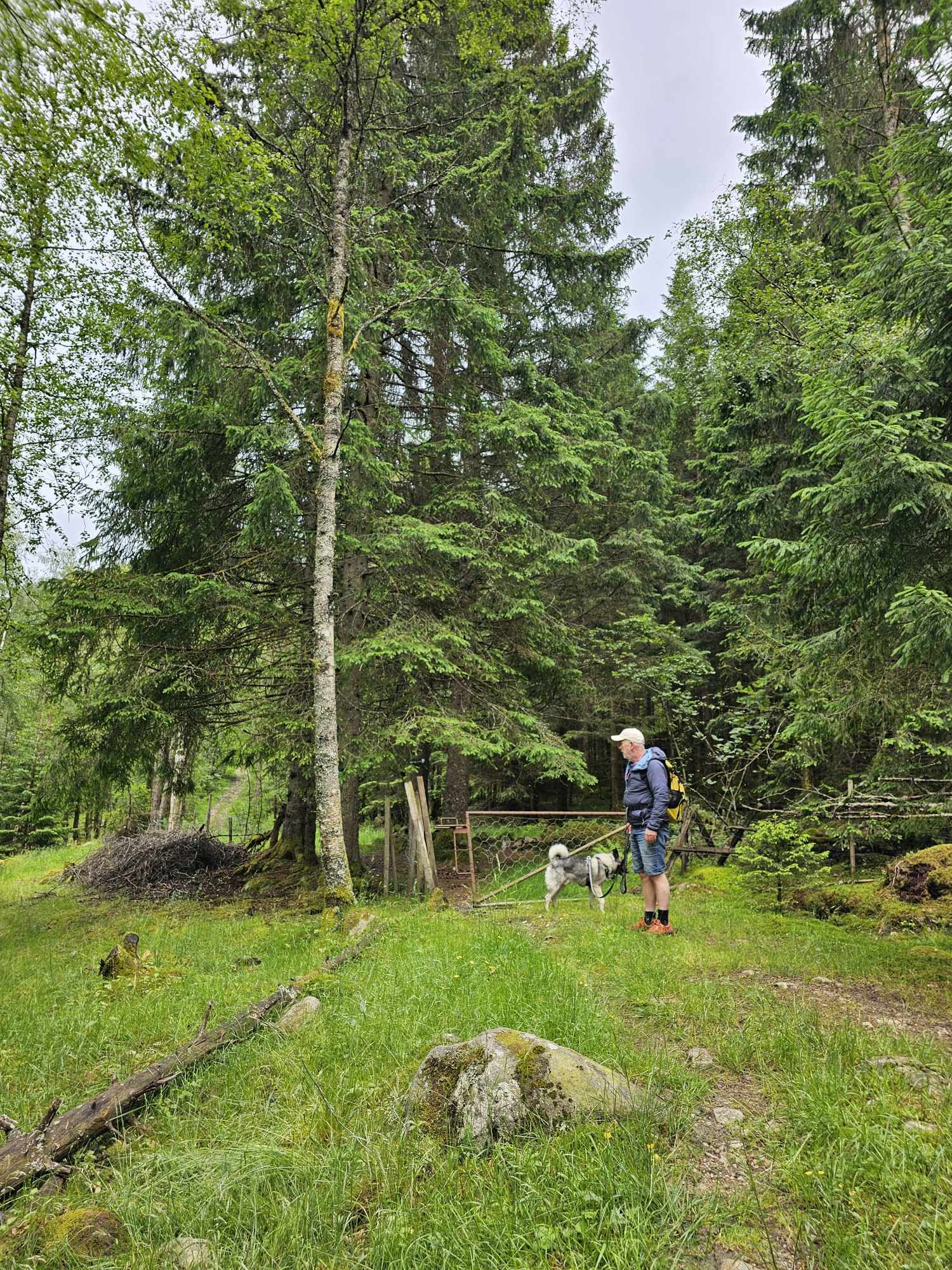 messenger_creation_0f04b04d-48ea-47c1-b796-01ce7b7050a4