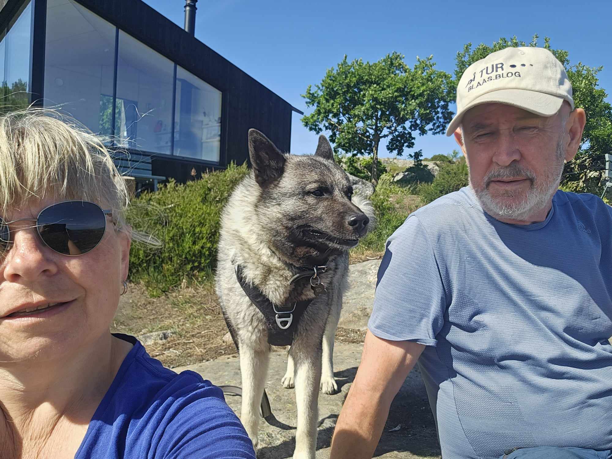 messenger_creation_10b709cf-6376-4b31-b25d-abdde578b4b4