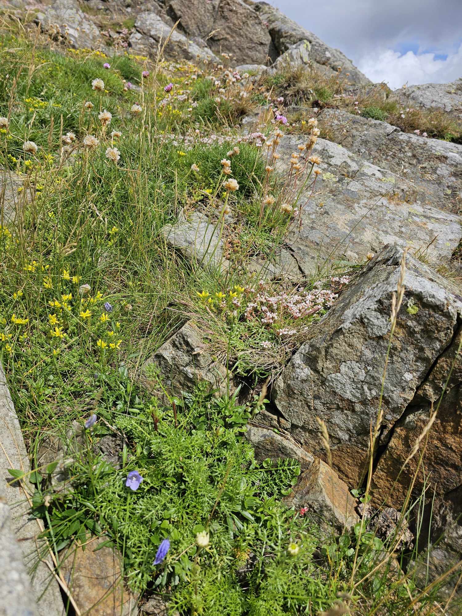 messenger_creation_24961b4f-fa50-4b7c-aa13-5fe138dbf480