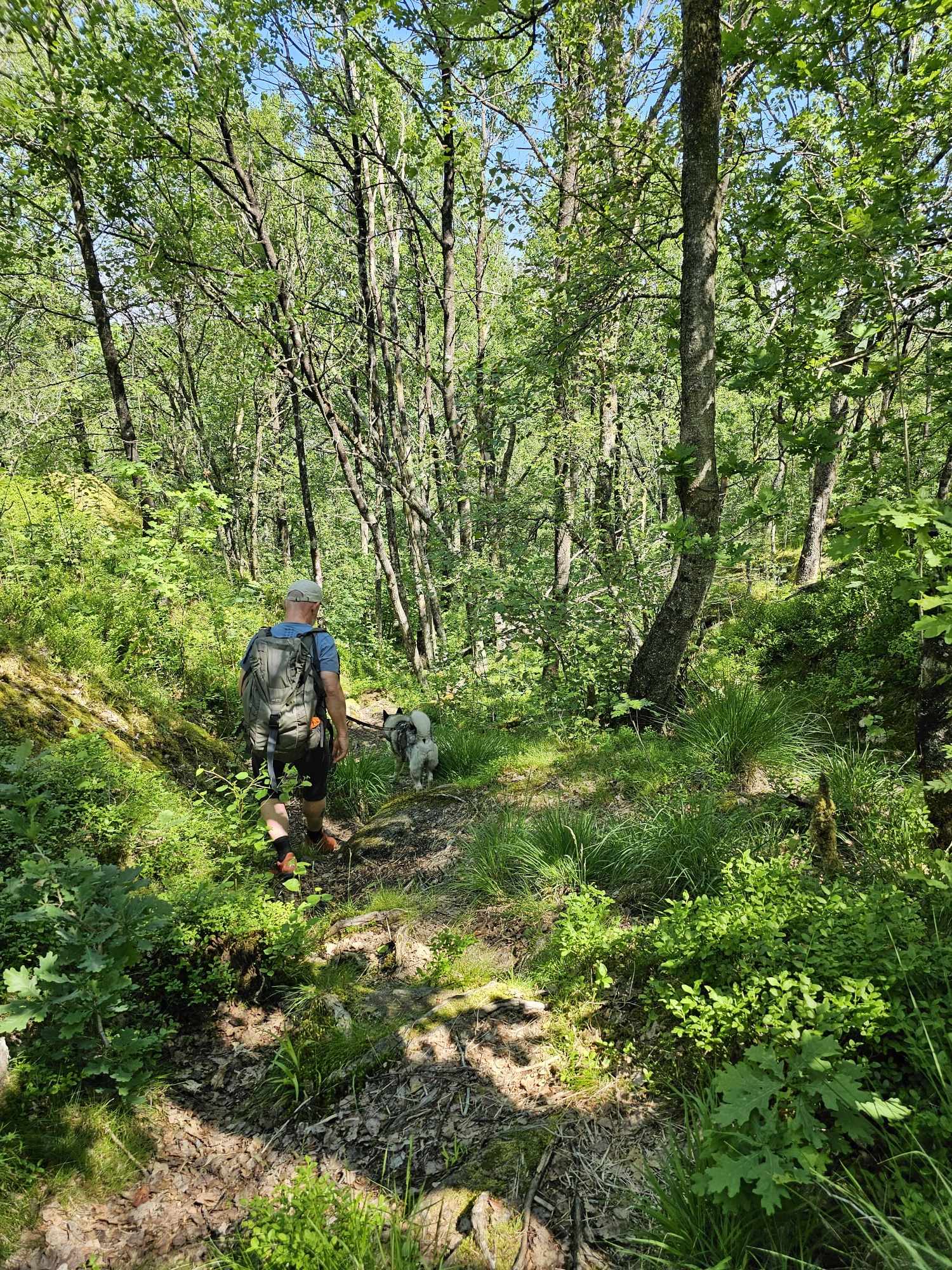 messenger_creation_33742366-a3cf-4488-8e2d-e1a6c63c54e7