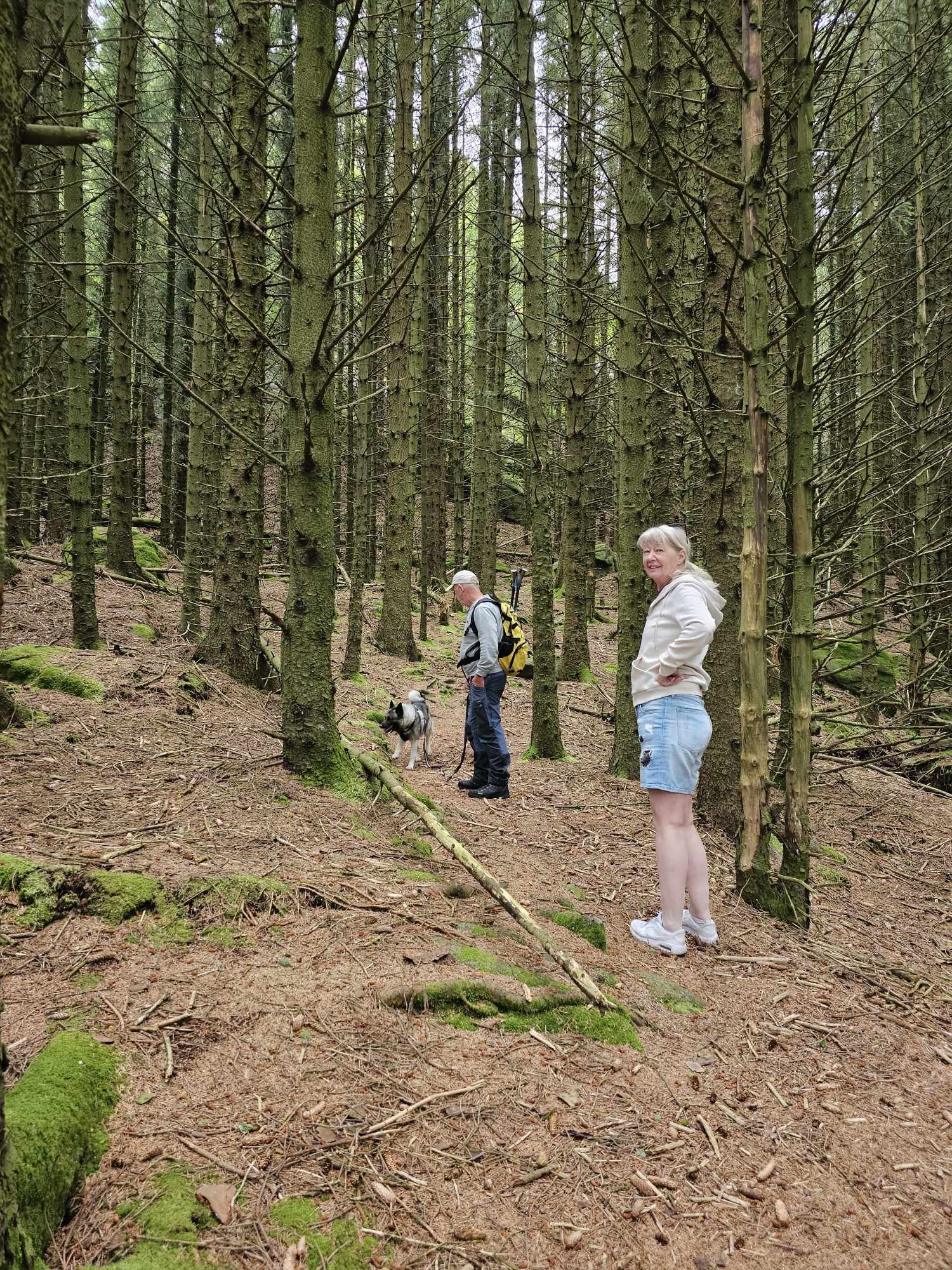 messenger_creation_7f78410c-50ce-4018-9161-834fa9194636