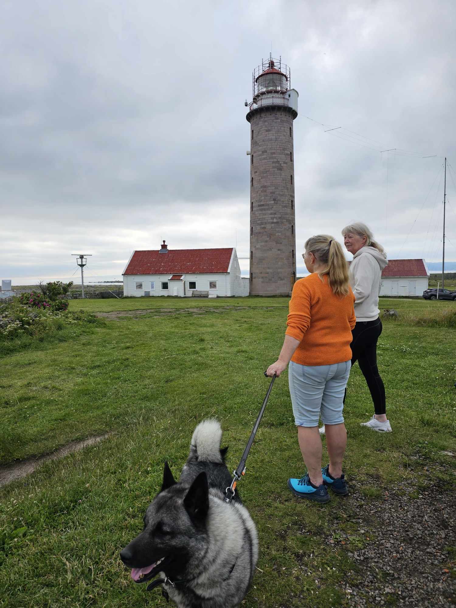 messenger_creation_88e9f456-6045-4ced-bb88-a8c9bee62cd4