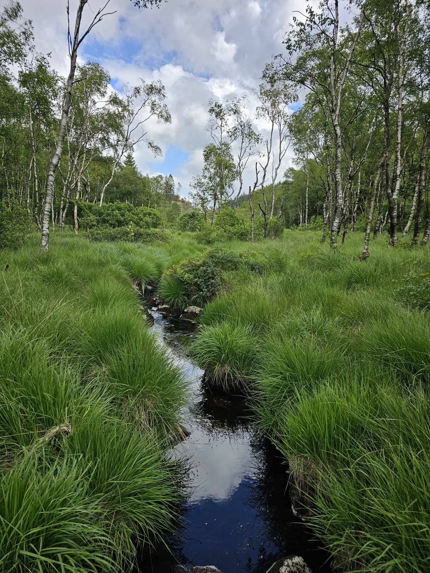 messenger_creation_9dab1fba-c135-4f39-89b9-2771d1d97326