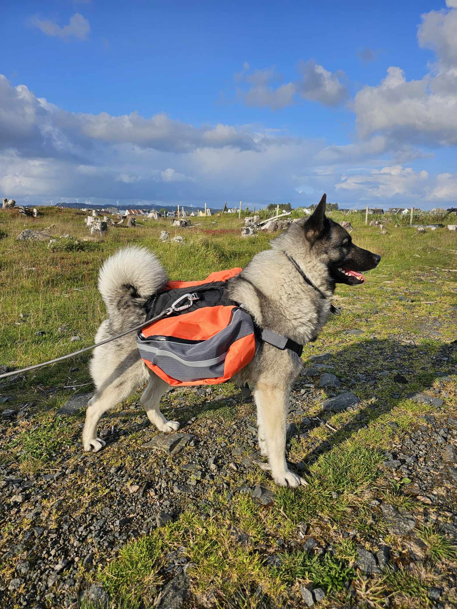 messenger_creation_c546993d-a62f-4953-96e5-f38edce22631