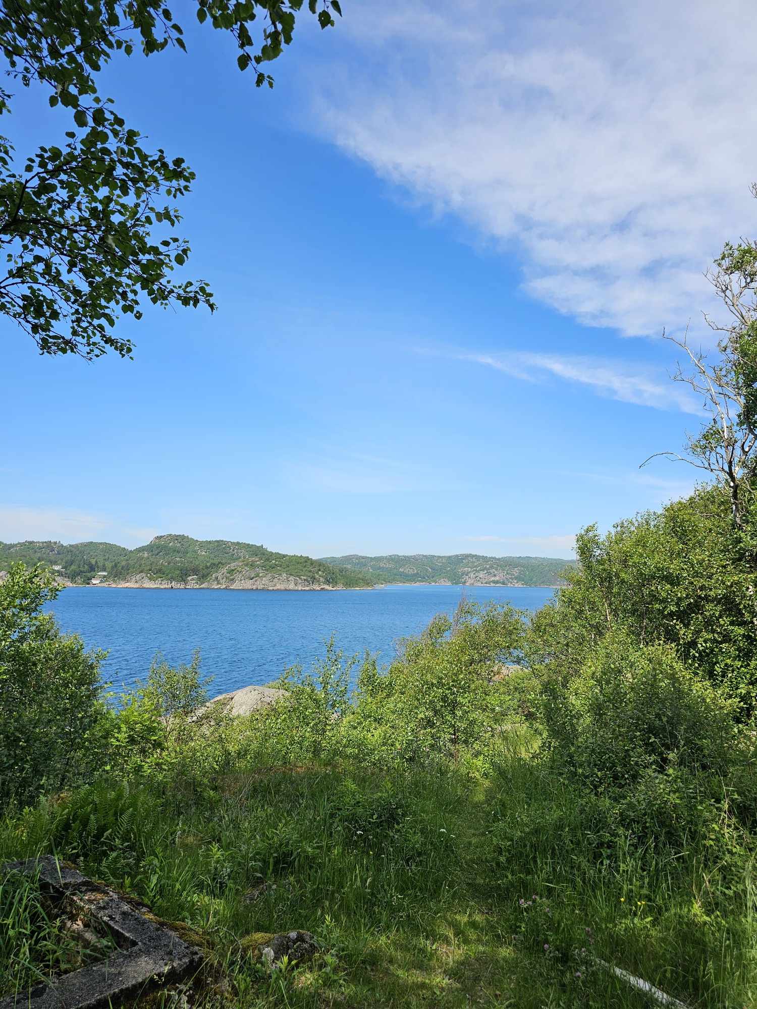 messenger_creation_cedfac36-e082-427e-bf5b-5495b6457472