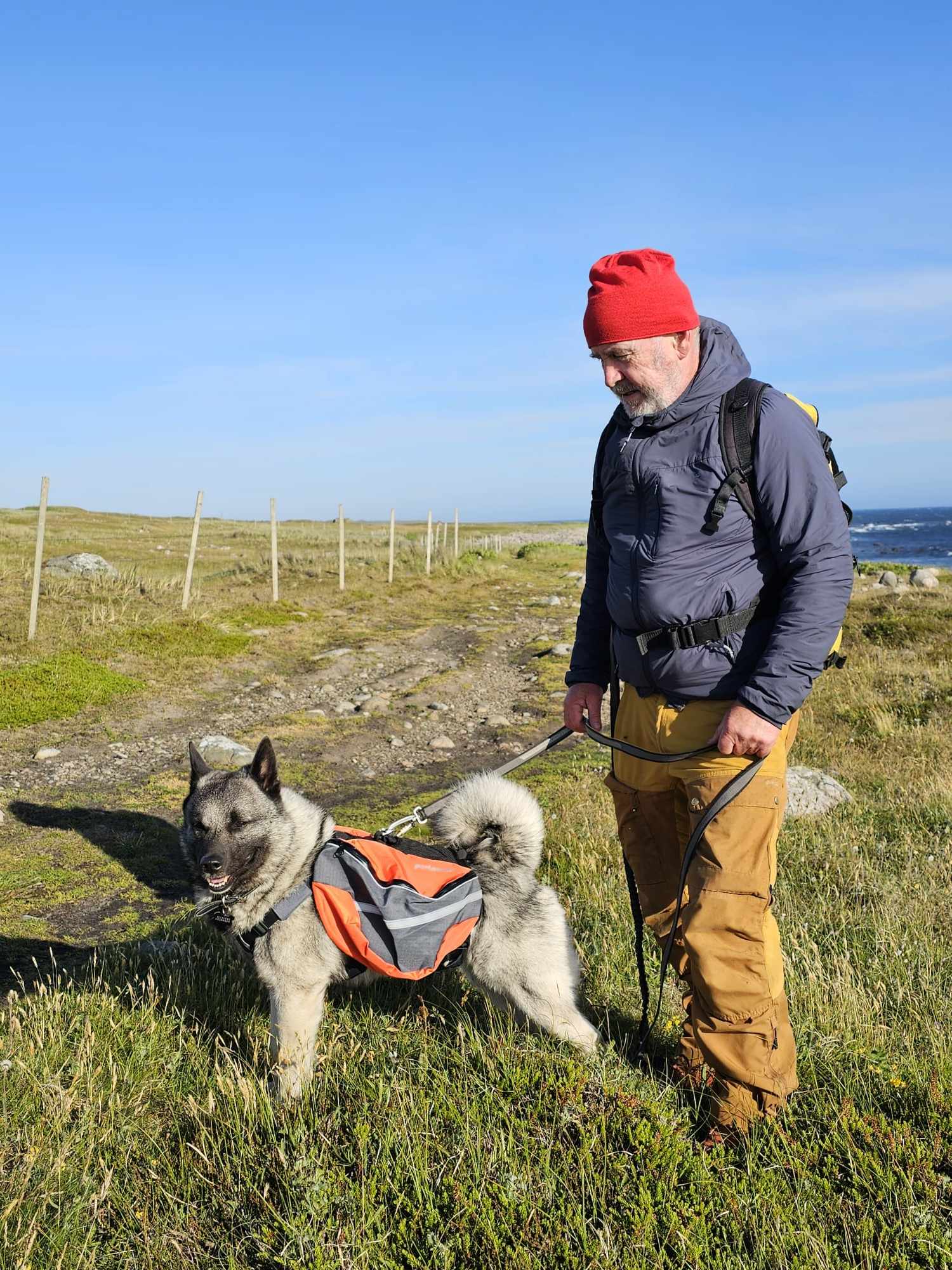 messenger_creation_cfd875dd-31d2-4316-b74a-33ab19002036