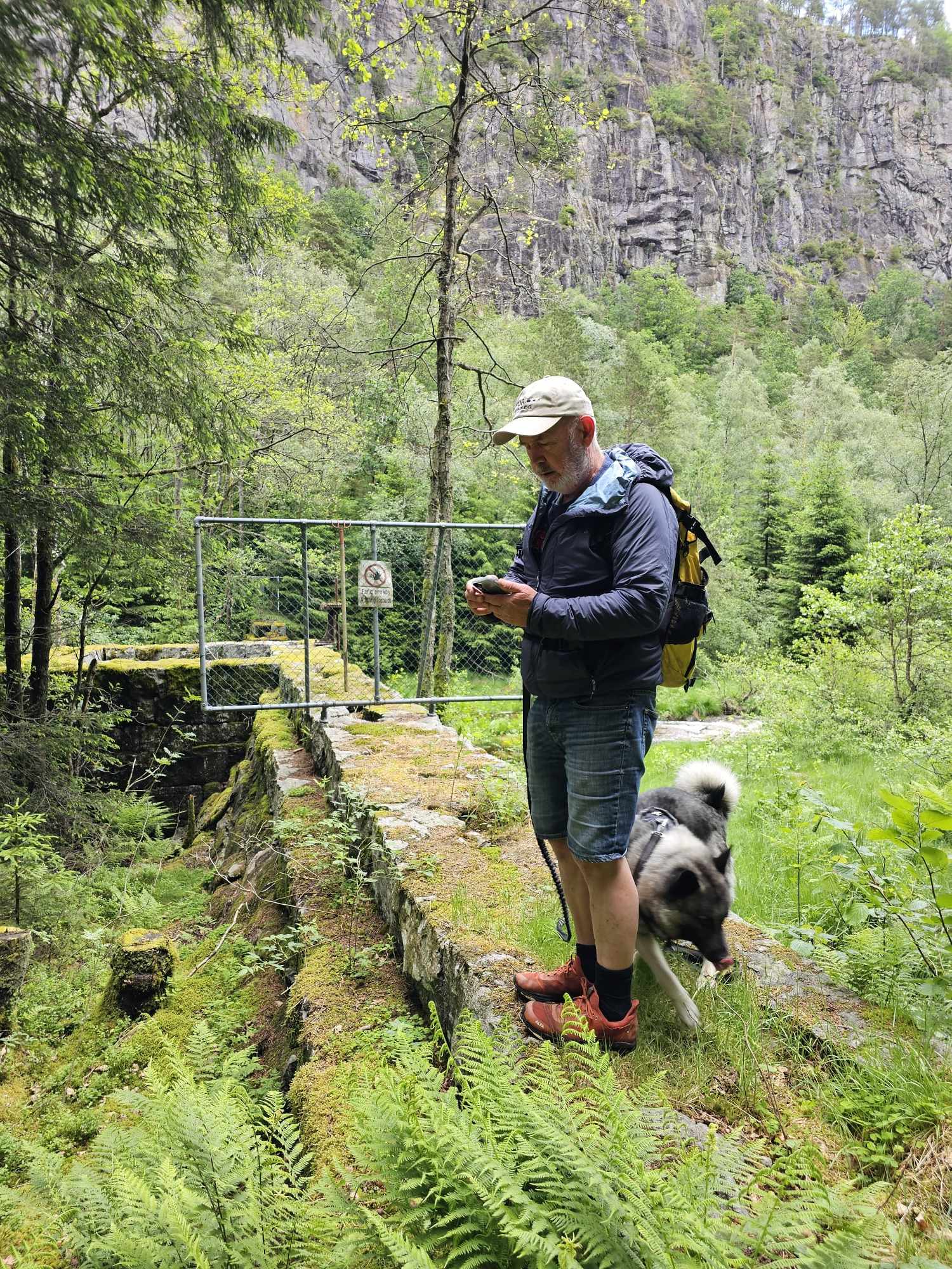 messenger_creation_f44f2625-3125-4935-84cb-4a07de3f1272