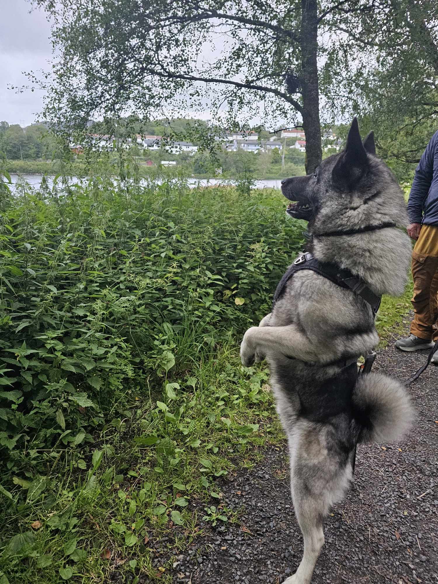 messenger_creation_fe034c2a-d556-45e0-9b40-669af0cf883f